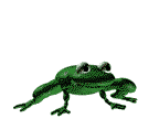 frog.gif